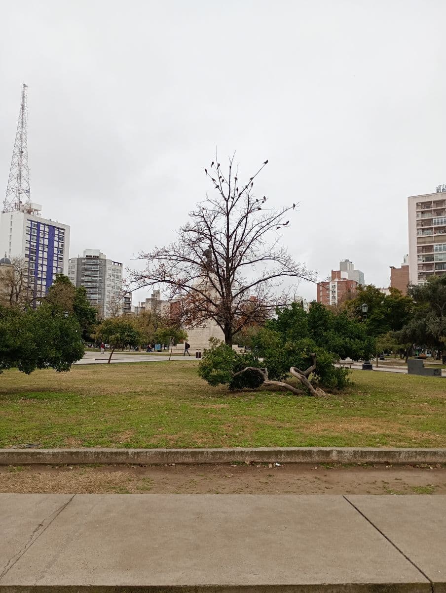 Pronóstico en Bahía Blanca: así estará el tiempo este viernes 17 de julio