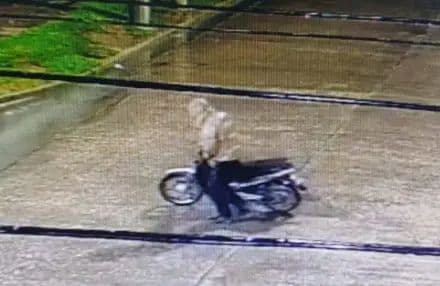 Atraparon a un ladrón con amplios antecedentes por robo de motos en Ingeniero White